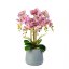 Dekoračná rastlina - orchidea - fialová - 83 cm