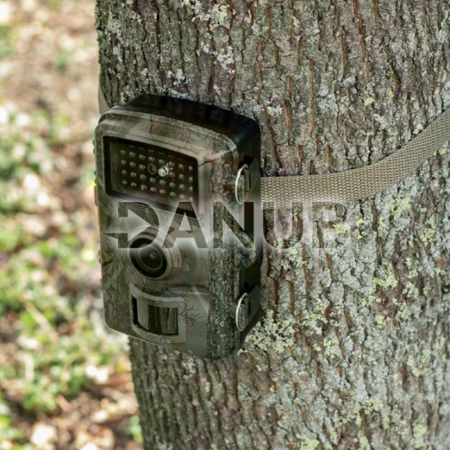 Kamera na sledovanie zveri vonkajšia, 3 režimy, Full HD, 38 IR LED, dosah 10 m, reakcia 0,8 s, displej 2,00", IP66, microSD do 32 GB, 4 alebo 8 batérií AA