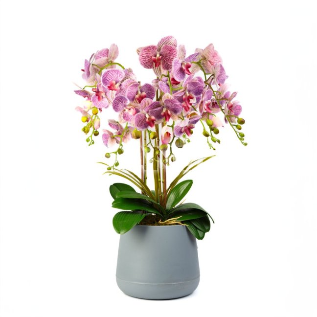 Dekoračná rastlina - orchidea - fialová - 83 cm