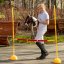 Hobby Horse Skippi - Koník na palici - Skewbald Tobiano