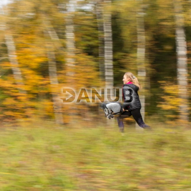 Hobby Horse Skippi - Koník na palici - Šedý